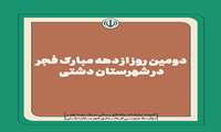 دومین روز از دهه مبارک فجر در شهرستان دشتی /فیلم