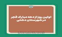اولین روز از دهه مبارک فجر در شهرستان دشتی / فیلم