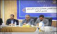 بخشداران دشتی ارتباط خود را با مردم و دهیاران افزایش دهند