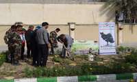 کاشت نهال توسط فرماندار دشتی بمناسبت روز درختکاری