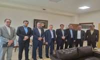 ۲۵ درصد معادن استان بوشهر در دشتی است