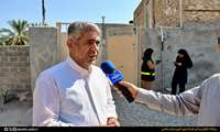 سرشماری عمومی کشاورزی در چهار شهر و 149 آبادی دشتی اجرا می شود 