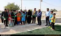 ۴ زمین چمن ورزشی در روستاهای «دشتی» افتتاح شد