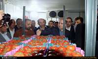 سفر وزیر جهاد کشاورزی به شهرستان دشتی