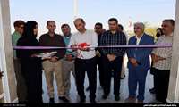 نمایشگاه آثار هنری هنرمندان شهرستان دشتی در خورموج گشایش یافت